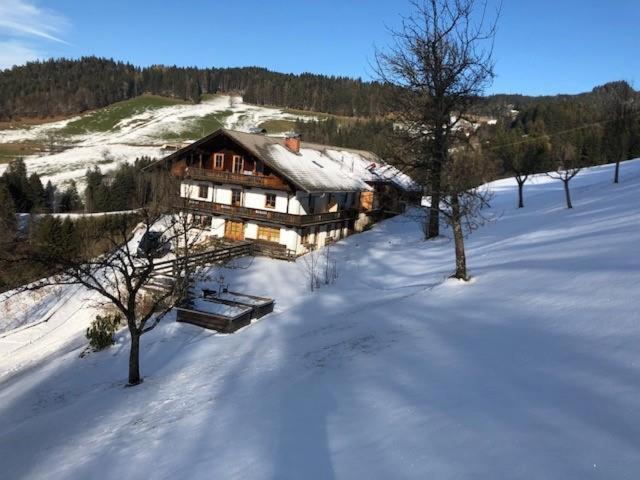 Leitnhof Daire Reith im Alpbachtal Dış mekan fotoğraf